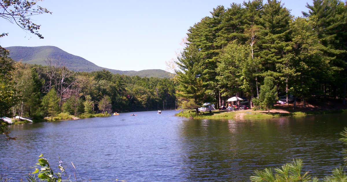 WhipOWill Campsites, Purling Roadtrippers