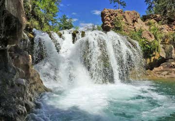Photo of Fossil Springs