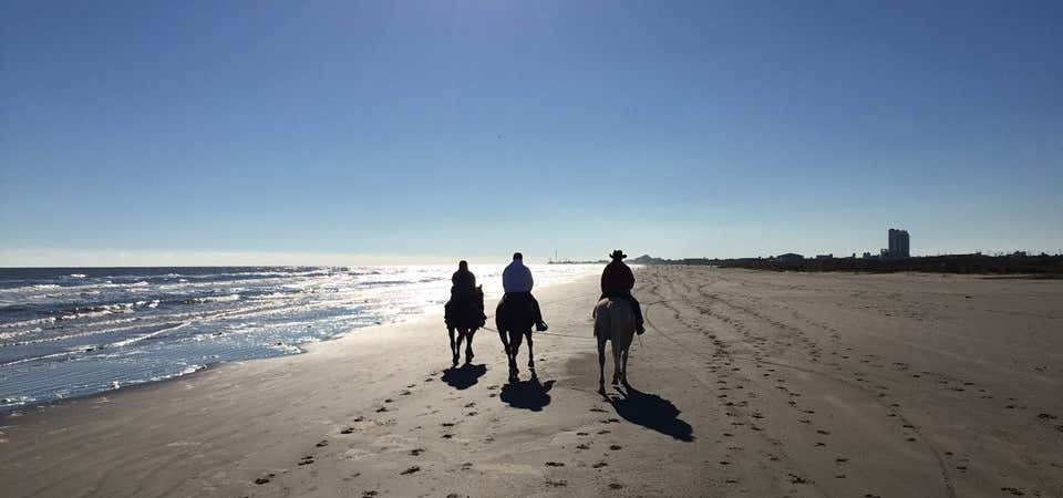 Photo of Galveston Island Horse and Pony Rides