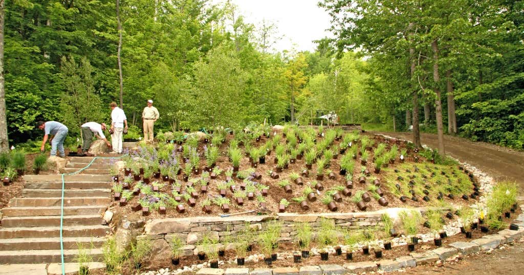 Horsford Gardens and Nursery, Charlotte Roadtrippers