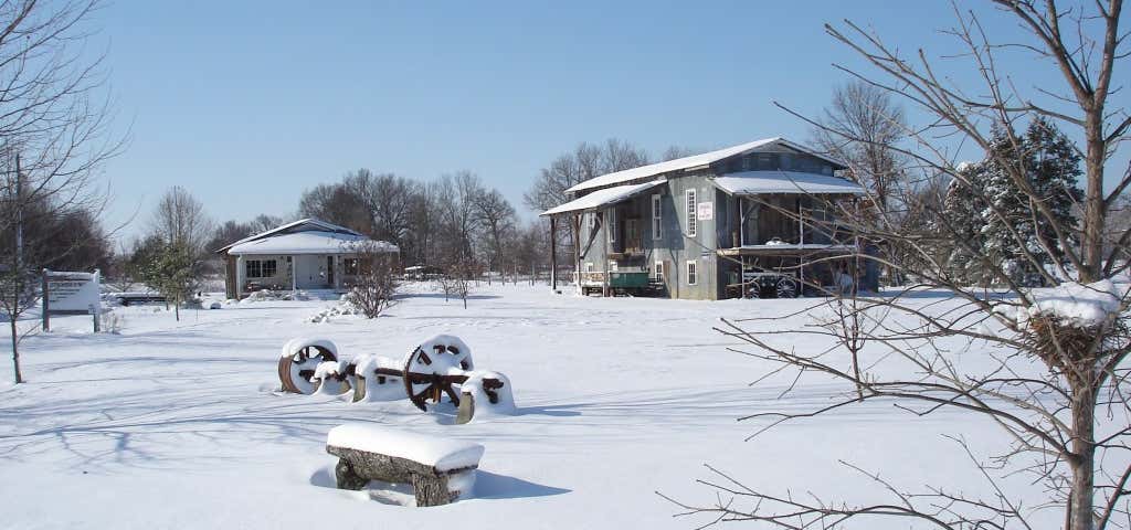 Photo of Green Frog Southern Historical Village