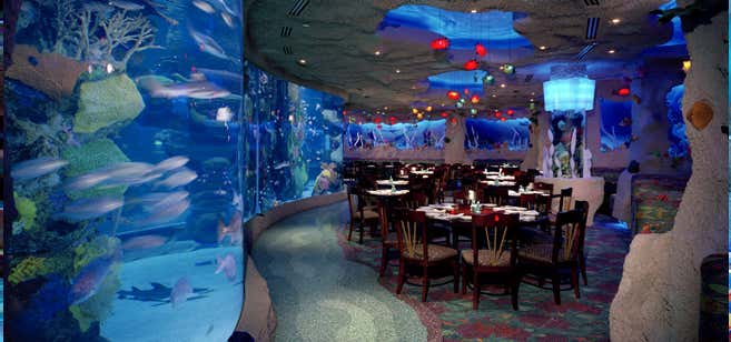 Aquarium Restaurant, Houston | Roadtrippers