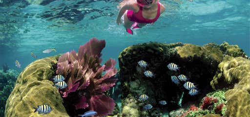 Photo of Family Snorkel Tours by Sundiver