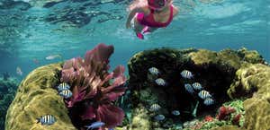 Family Snorkel Tours by Sundiver