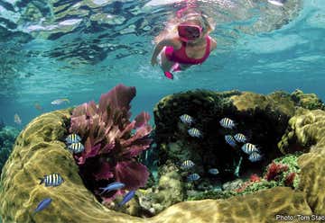 Photo of Family Snorkel Tours by Sundiver