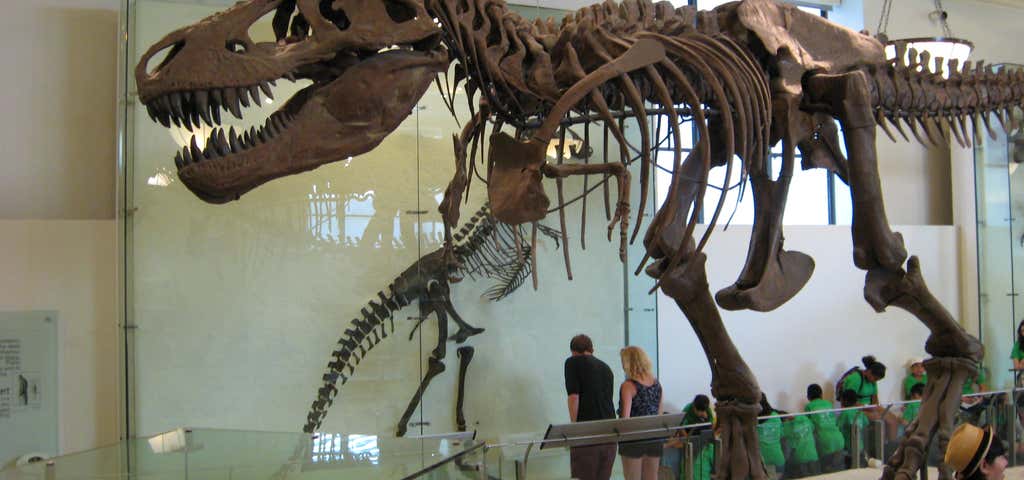 Photo of Sternberg Museum of Natural History