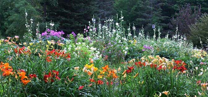 Photo of Vermont Flower Farm