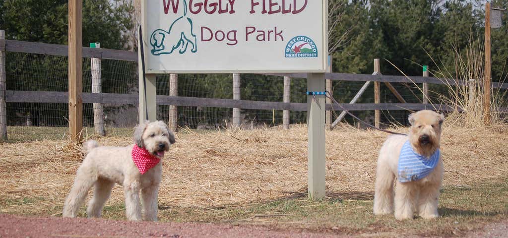 Photo of Wiggly Field Dog Park
