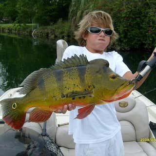 Florida Peacock Bass