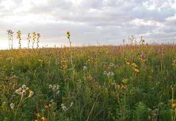 Photo of Orland Grassland