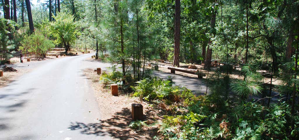 Photo of Gregory Creek Campground