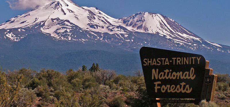 Photo of Shasta-Trinity National Forest