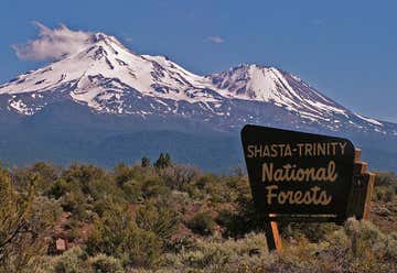 Photo of Shasta-Trinity National Forest