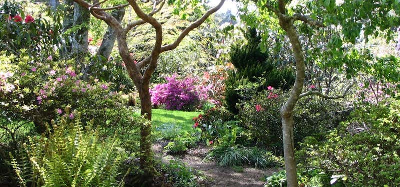 Photo of The Connie Hansen Garden Conservancy
