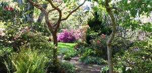 The Connie Hansen Garden Conservancy