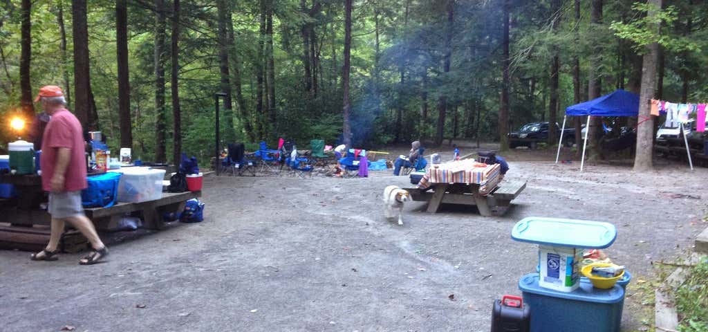 Photo of Rattler Ford Campground