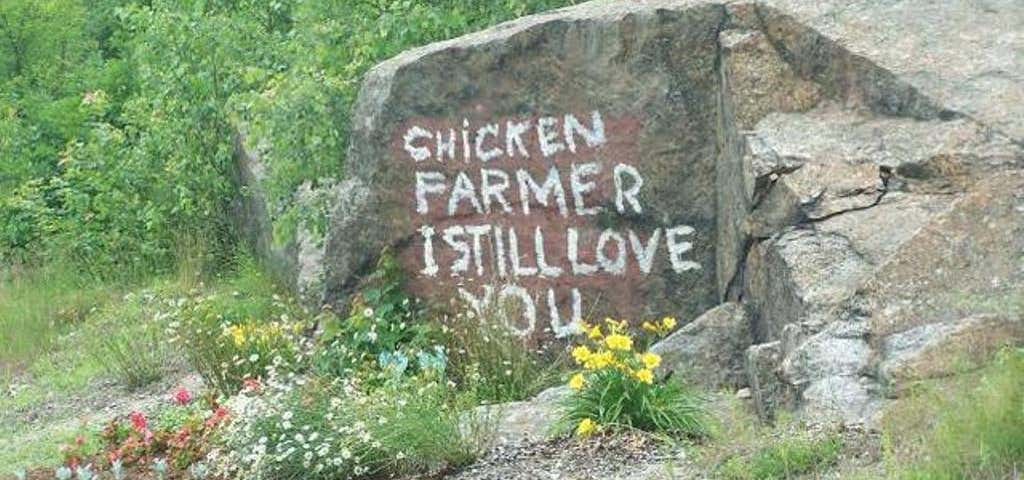 Photo of Chicken Farmer Rock