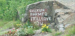Chicken Farmer Rock
