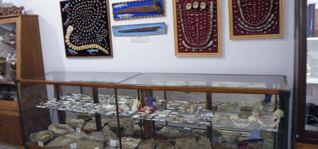 Photo of Fick Fossil and History Museum