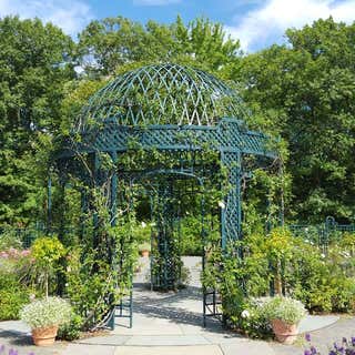 The New York Botanical Garden