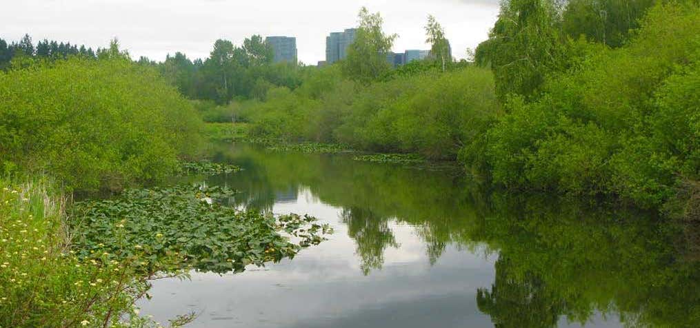 Photo of Mercer Slough Nature Park