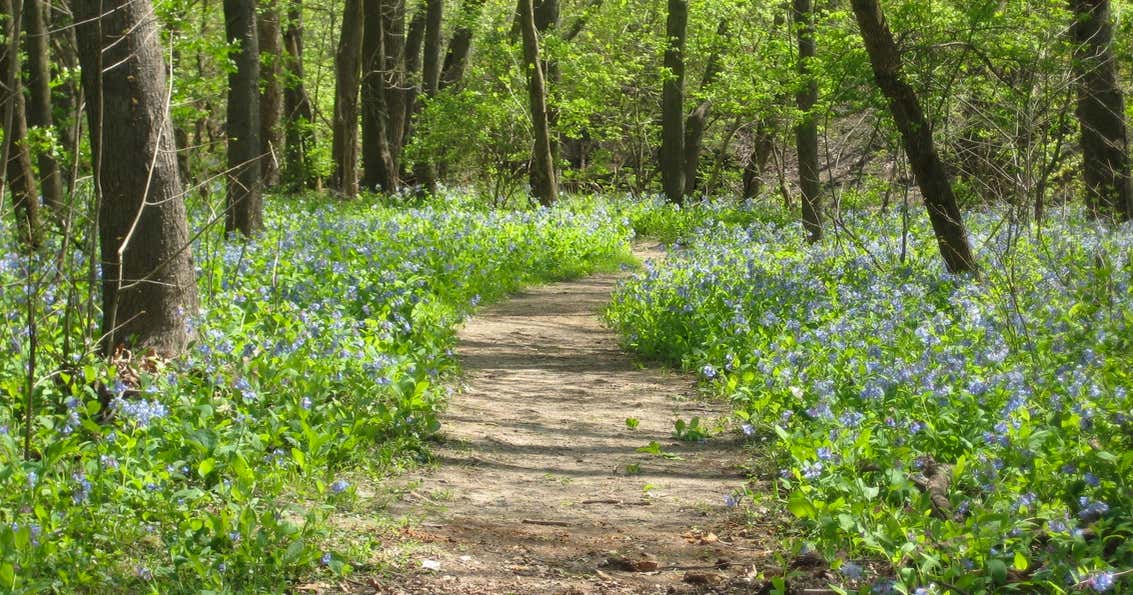 Middle Fork River Forest Preserve, Penfield Roadtrippers