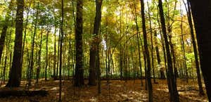 Wesselman Woods Nature Preserve