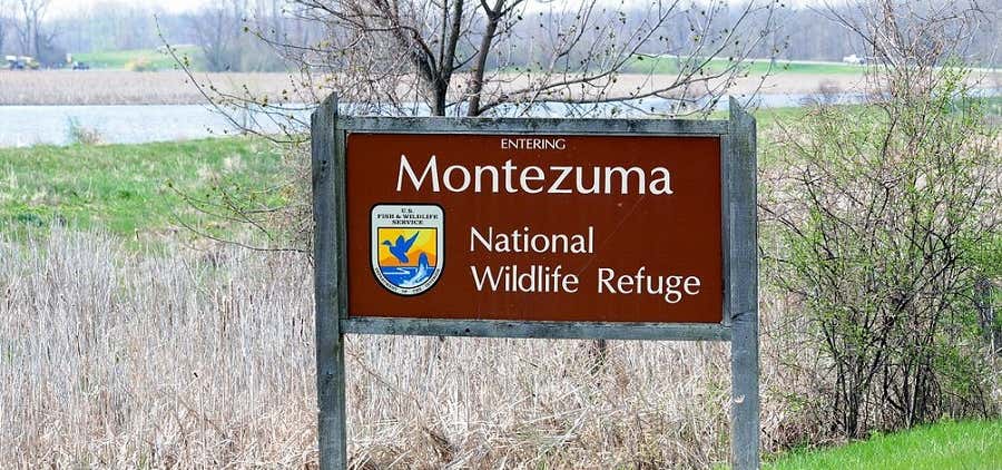Photo of Montezuma Nat'l Wildlife Refuge