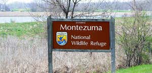 Montezuma Nat'l Wildlife Refuge