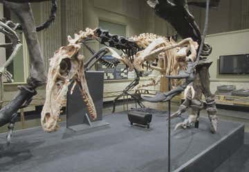 Photo of Dinosaur Discovery Museum