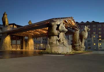 Photo of Great Wolf Lodge Grapevine