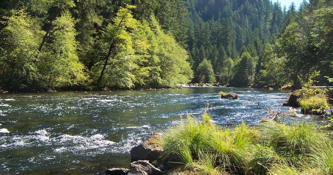 Umpqua's Last Resort Wilderness RV Park & Campground, Idleyld Park