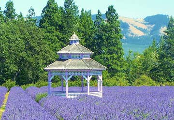 Photo of Lavender Valley Farm