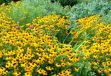 Photo of American Horticultural Society River Farm