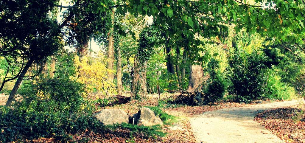 Photo of Cylburn Arboretum