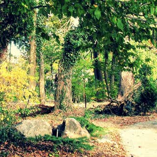 Cylburn Arboretum