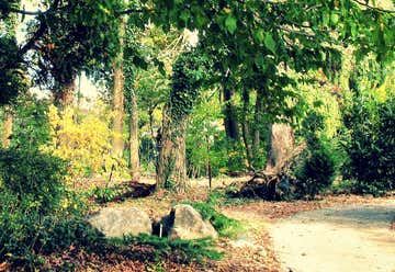 Photo of Cylburn Arboretum