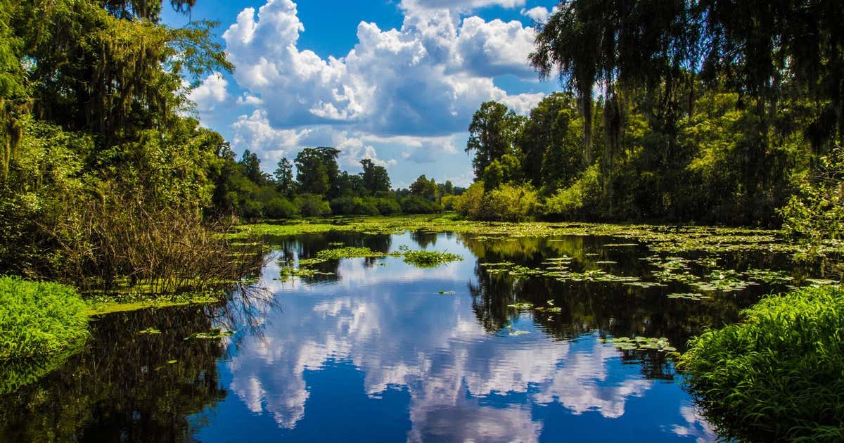 Lettuce Lake Park, Tampa Roadtrippers