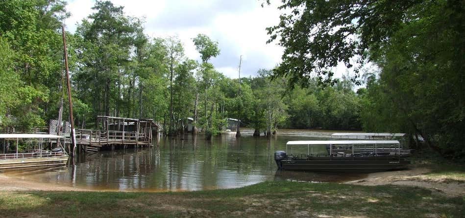 Photo of Pearl River & Honey Island Swamp Museum