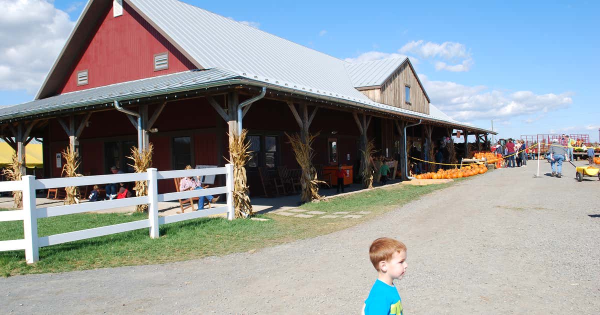 Temple Hall Farm Regional Park, Leesburg Roadtrippers