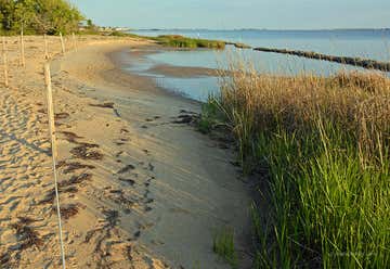 Photo of Nags Head Woods Ecological Preserve