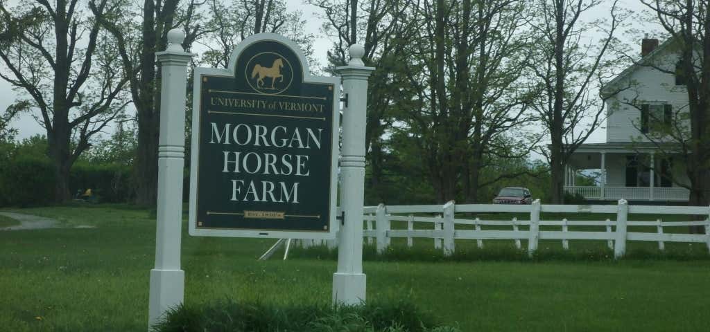 Photo of Uvm Morgan Horse Farm