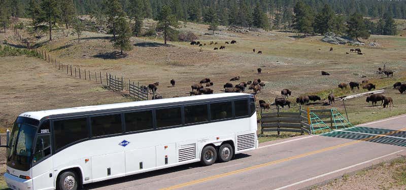 Photo of Gray Line Tours of the Black Hills