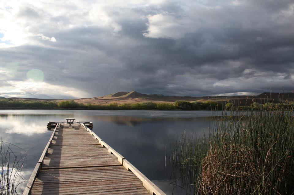 Equestrian - Bruneau Dunes State Park