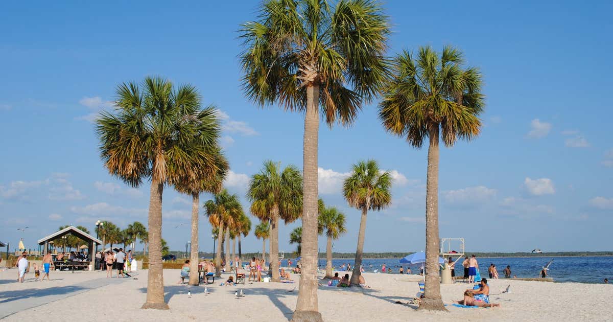 Alfred A. Mckethan Pine Island Park Beach, Weeki Wachee | Roadtrippers