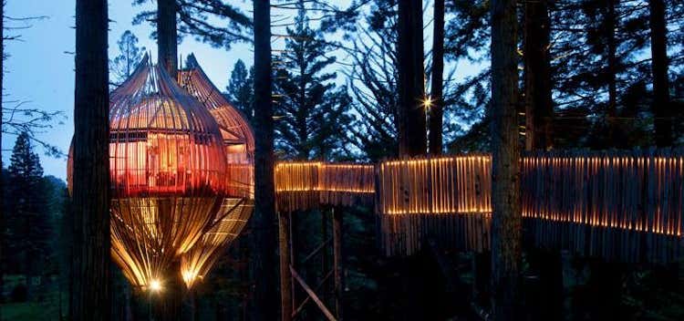 Photo of The Redwoods Treehouse