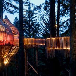 The Redwoods Treehouse