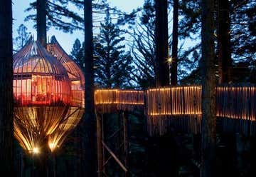 Photo of The Redwoods Treehouse