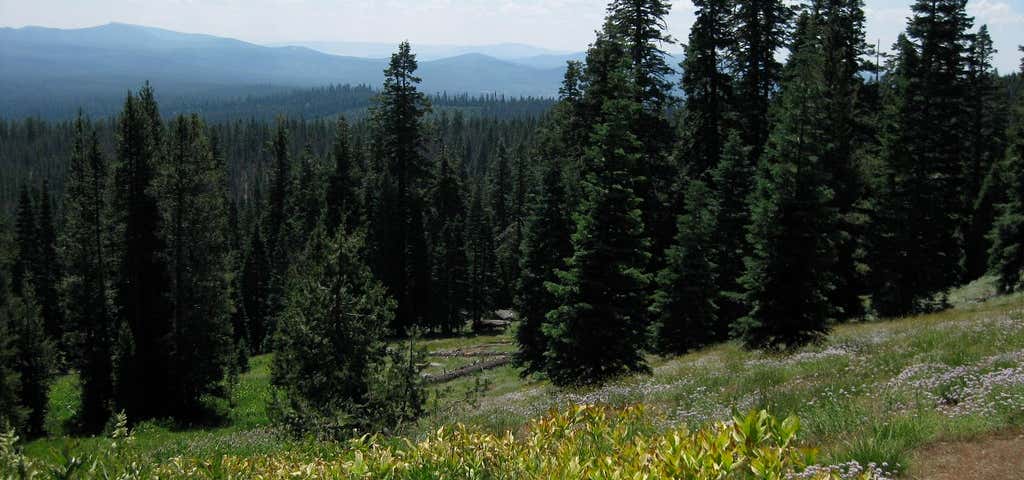 Photo of Gearhart Mountain Wilderness