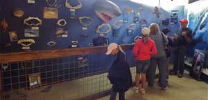 Whale, Sea Life and Sharks Museum